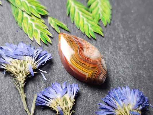 Laguna lace agate