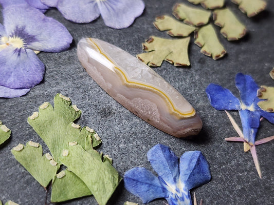 Agua Nueva agate
