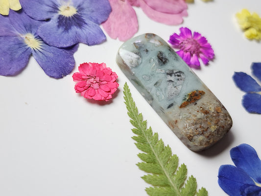 BC Ocean picture stone