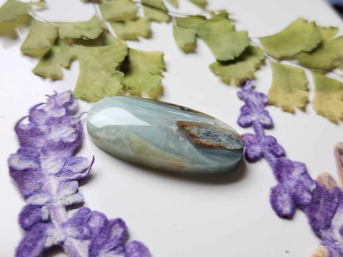 BC Ocean picture stone