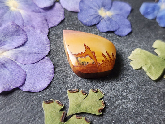 Red Falcon jasper