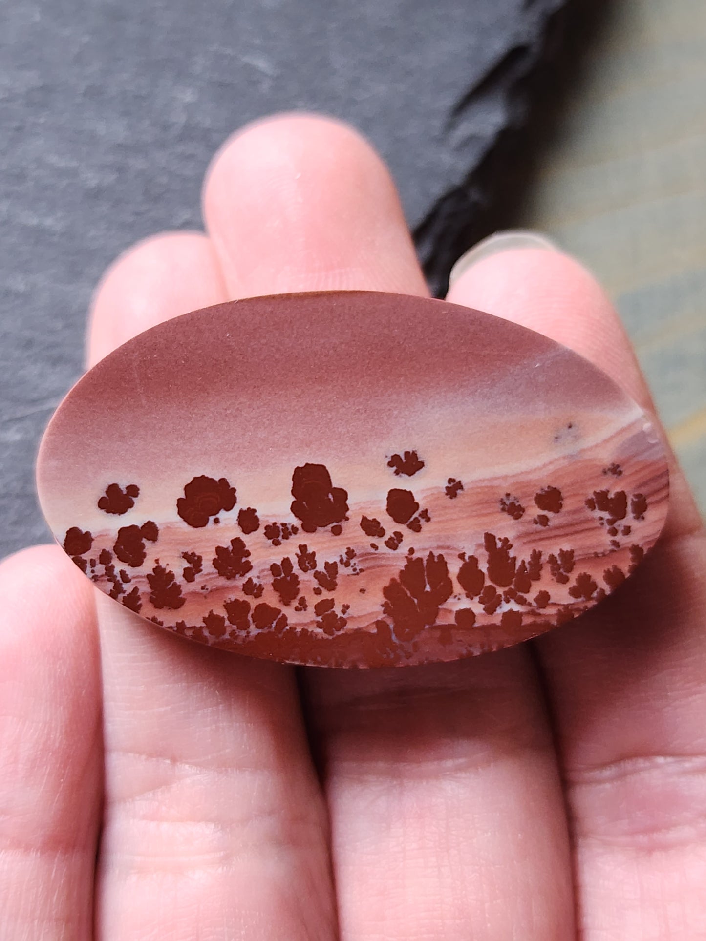 Mimbres Valley Apache Dendritic Rhyolite