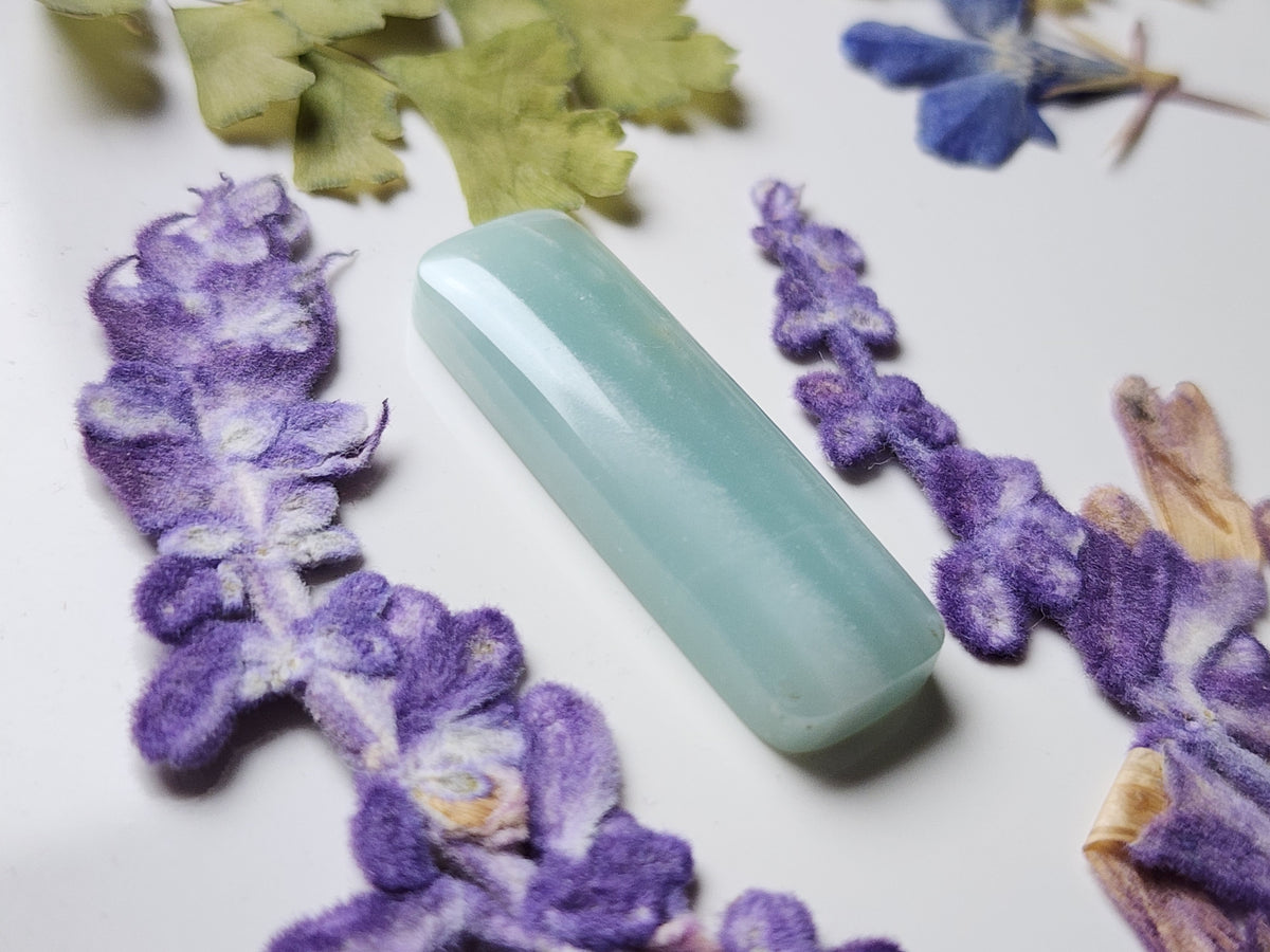 BC Ocean picture stone