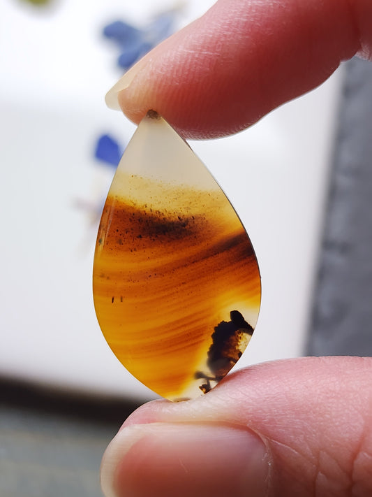 Montana agate