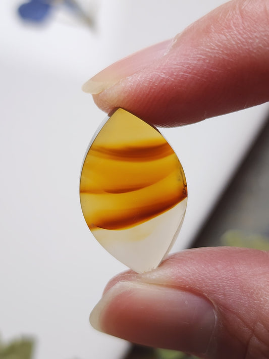 Montana agate