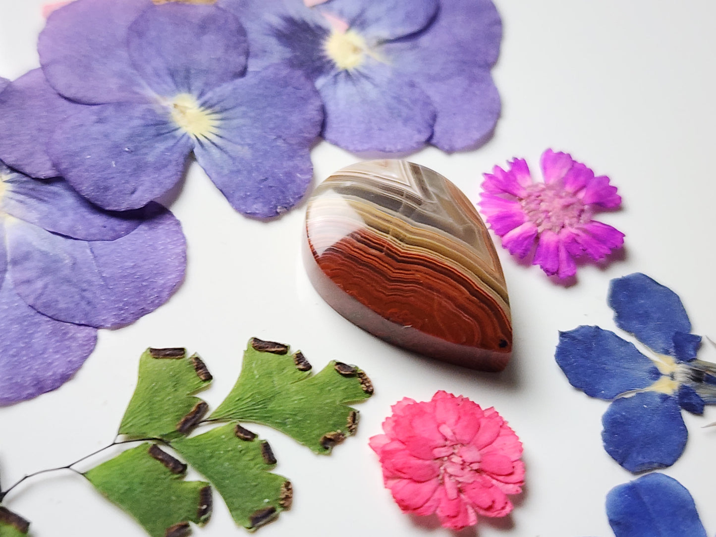 Laguna lace agate