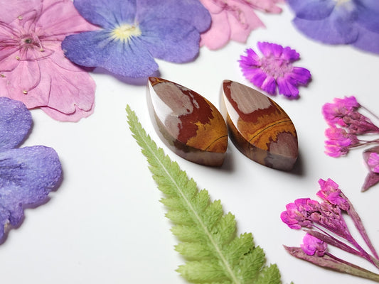 Noreena jasper pair