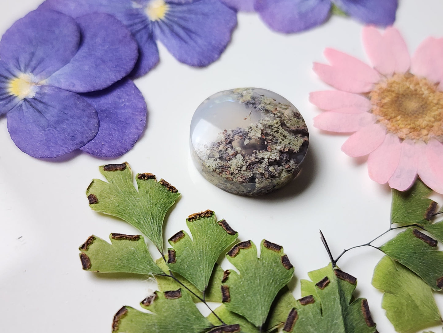 Garden Moss agate