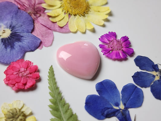 Pink Conch shell heart