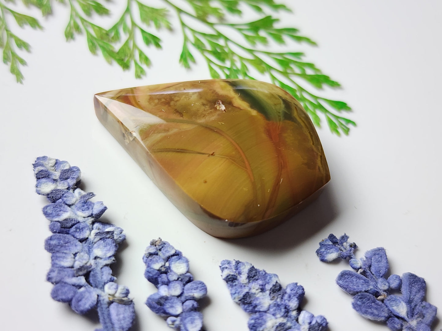 Morriosnite jasper