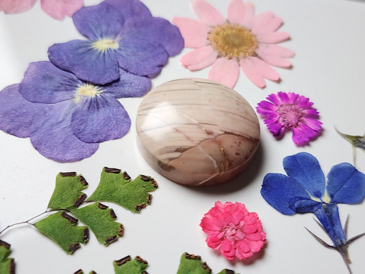 Willow creek jasper