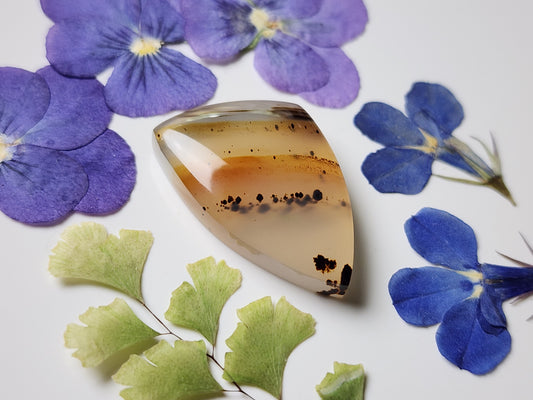 Montana agate