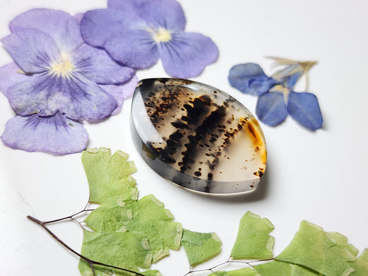 Montana agate