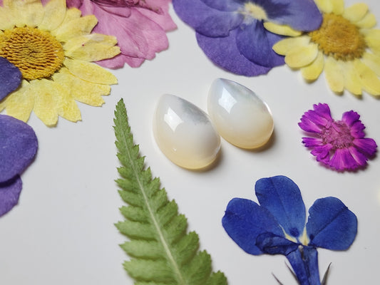 Mother of pearl shell pair