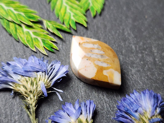 Spotted Fawn jasper