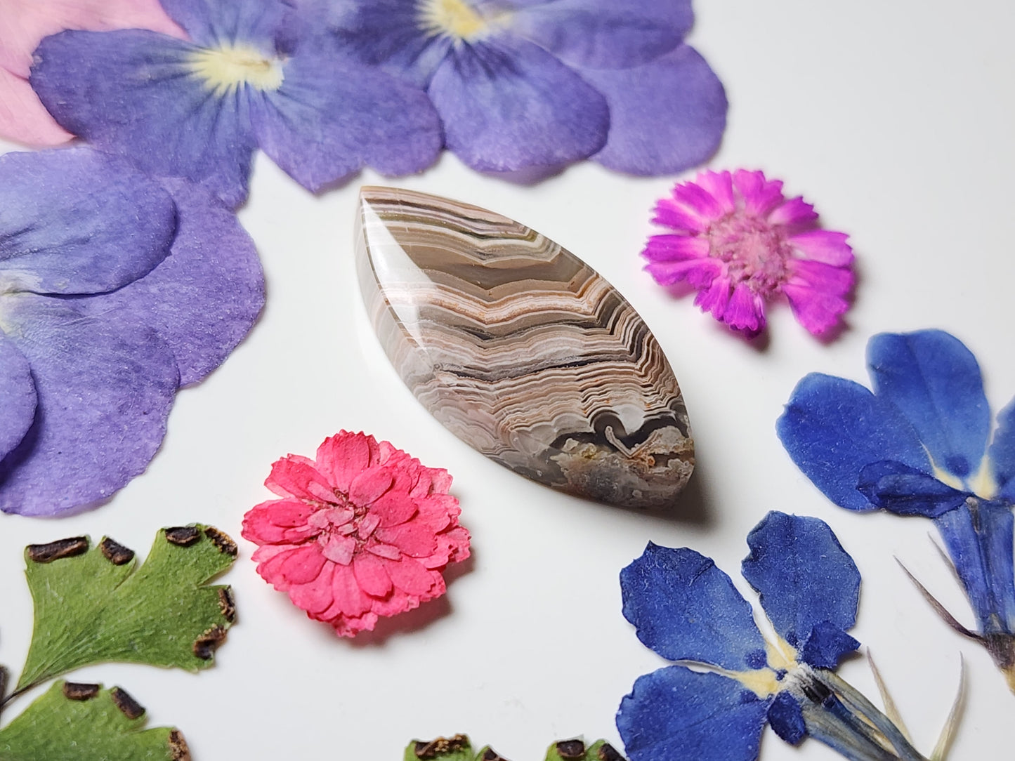 Laguna lace agate