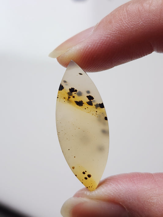 Montana agate