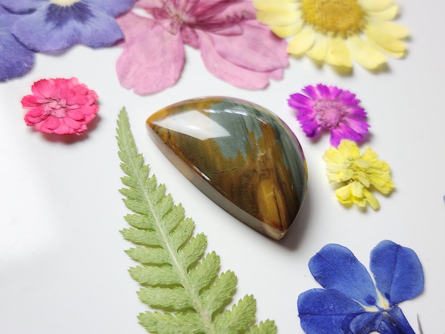 Owyhee jasper