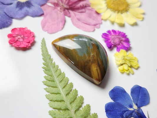 Owyhee jasper