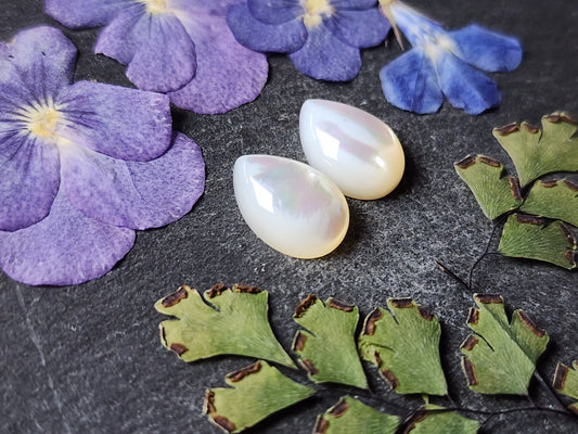 Mother of pearl shell pair (A2)