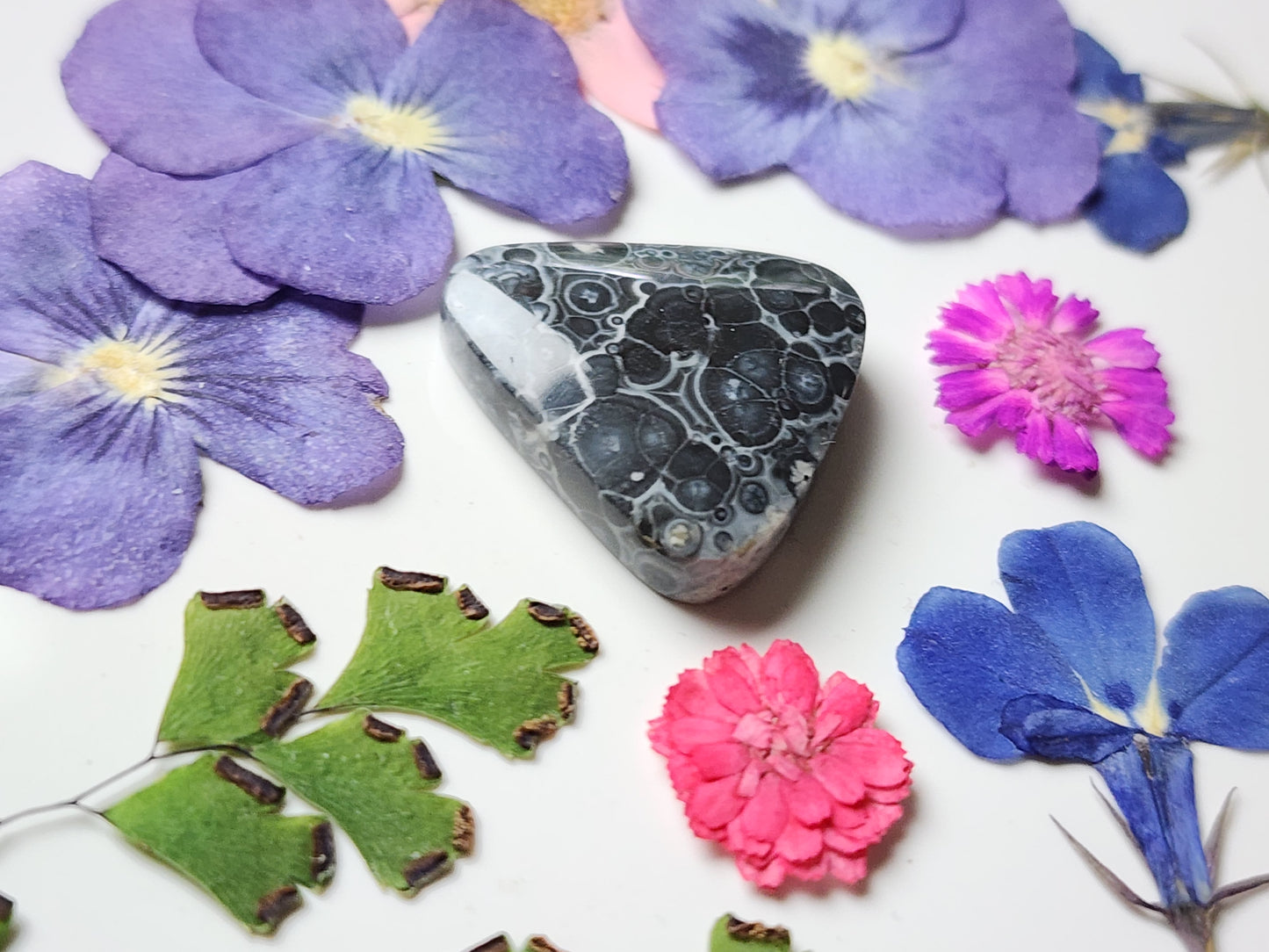 Galaxy Rhyolite
