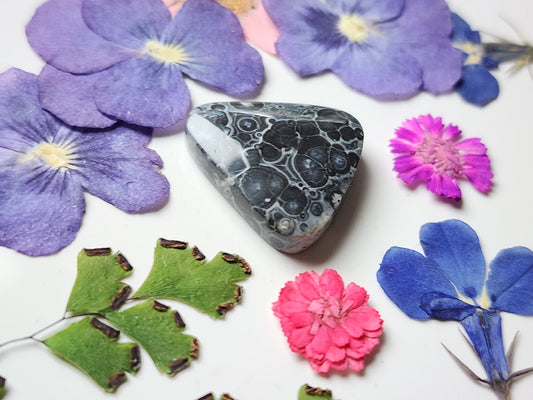 Galaxy Rhyolite
