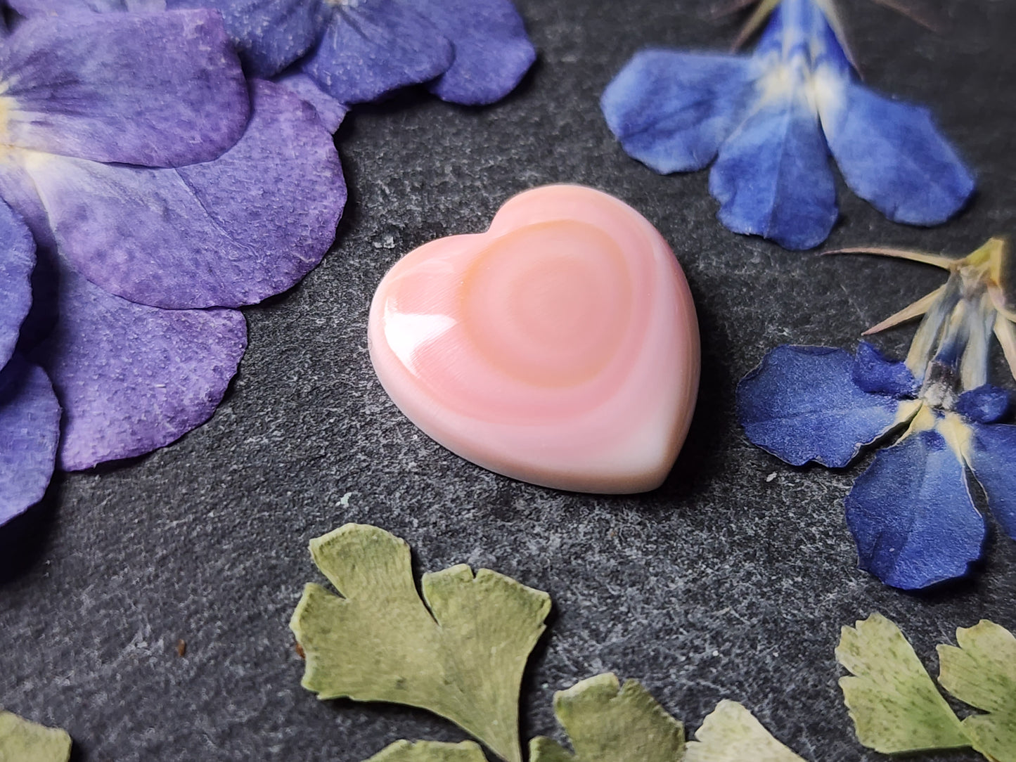Pink Conch shell heart