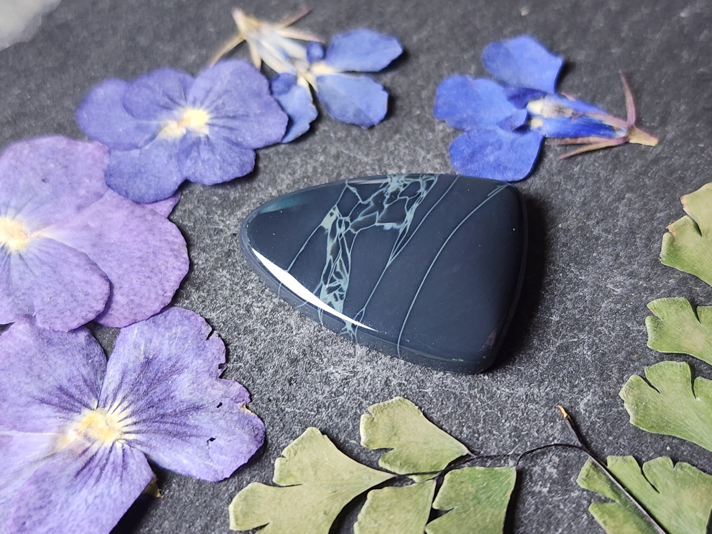 SpiderWeb Obsidian