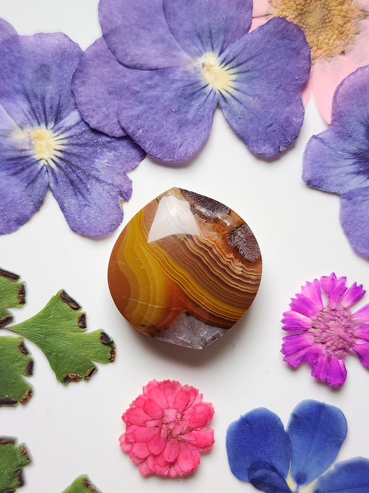 Agua Nueva agate