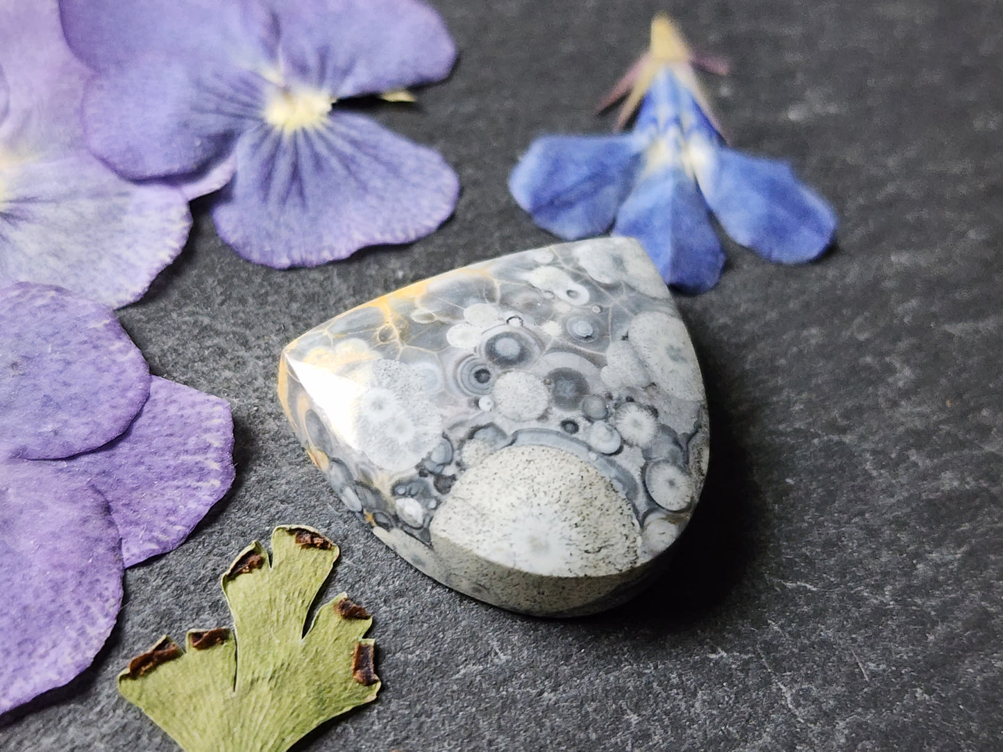 Galaxy Rhyolite