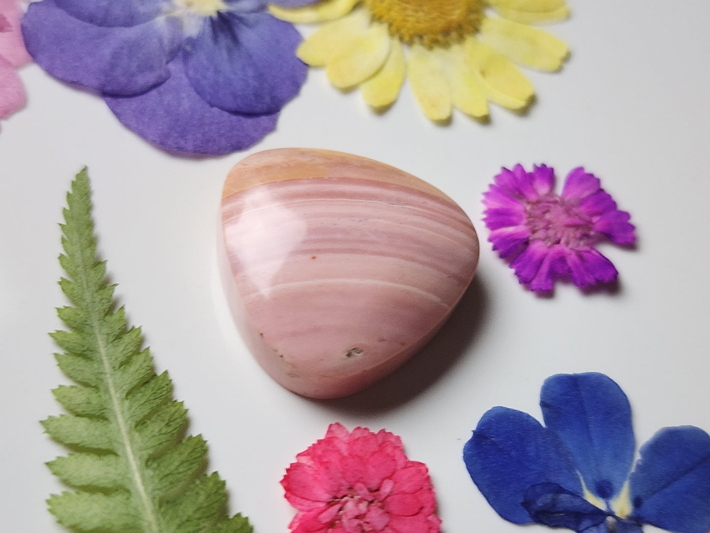 Australian Pink opal