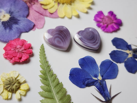 Wampum shell heart pair