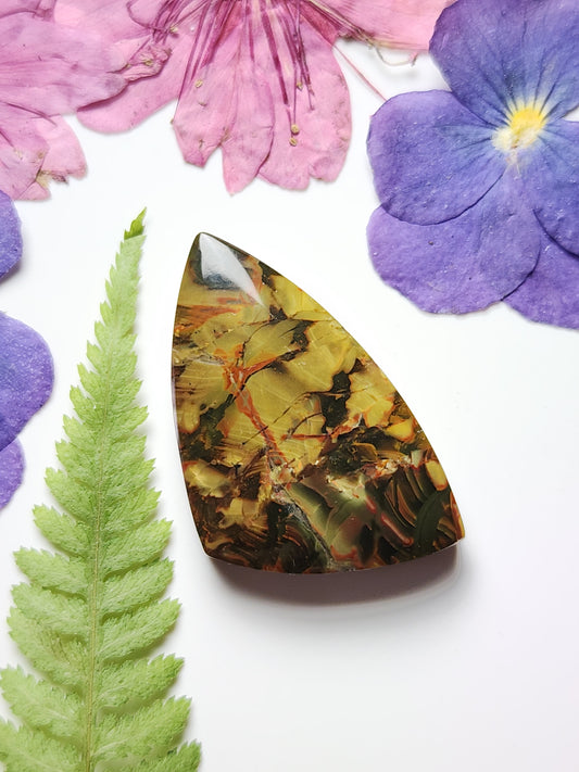 Carrasite jasper