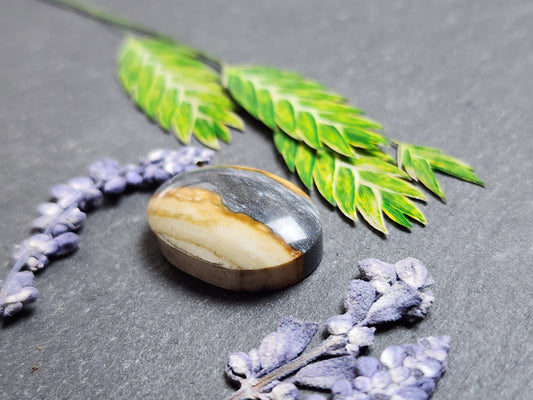 Starry night picture jasper