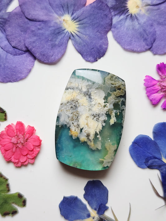 Bella Vista plume agate Doublet