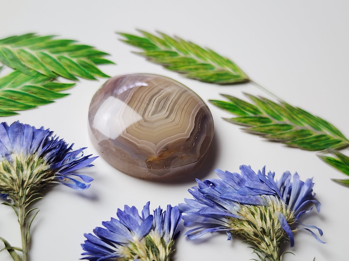 Agua Nueva agate