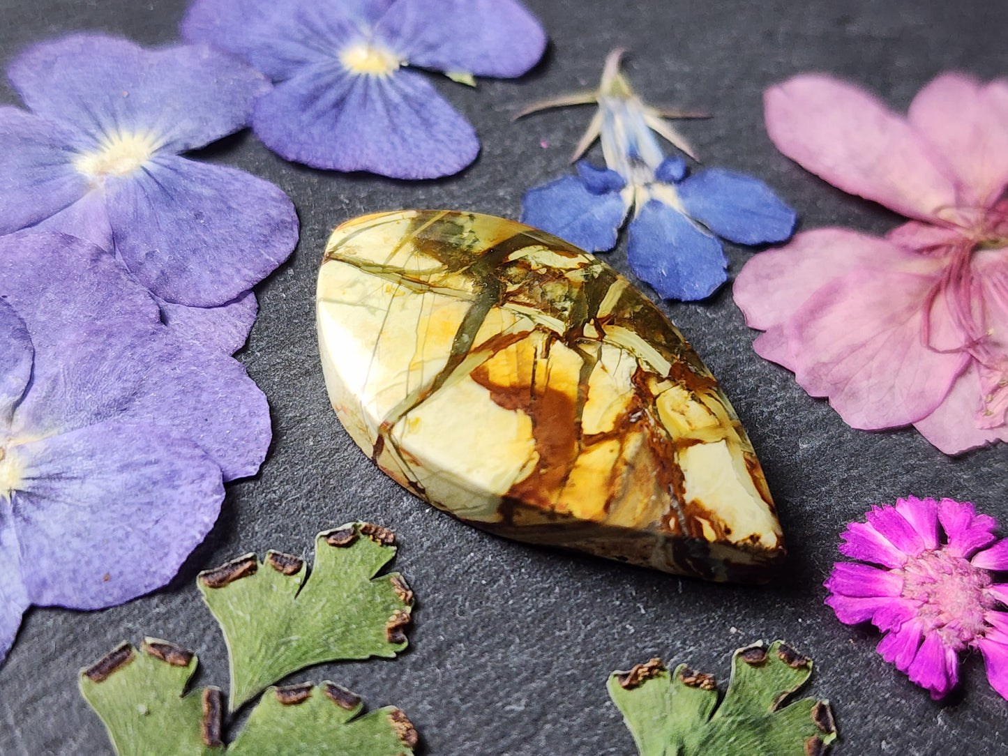 Morrisonite jasper