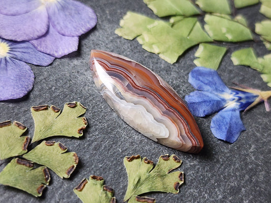 Laguna lace agate