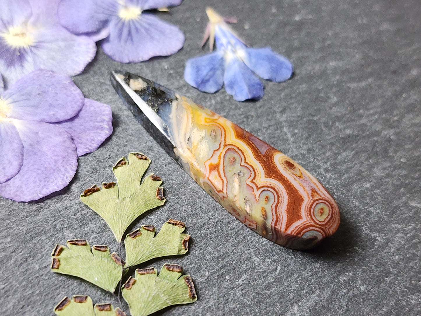 Petrified palm wood