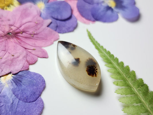 Montana agate
