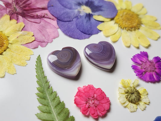 Wampum shell heart pair