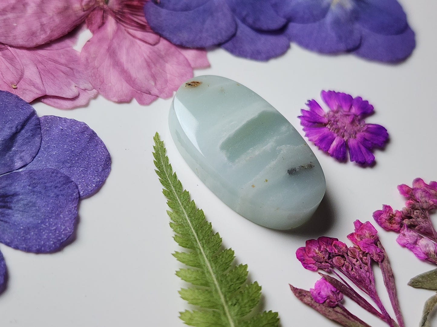 BC Ocean picture stone