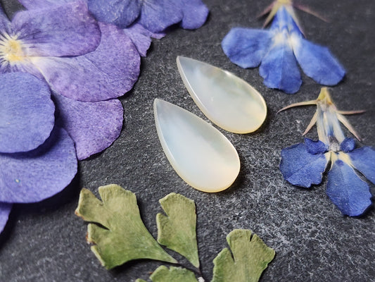Mother of pearl shell pair