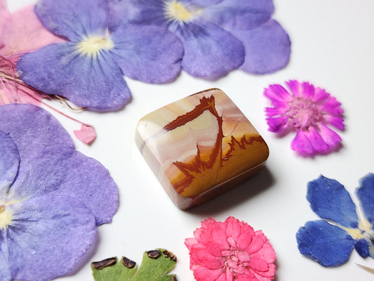 Red Falcon jasper