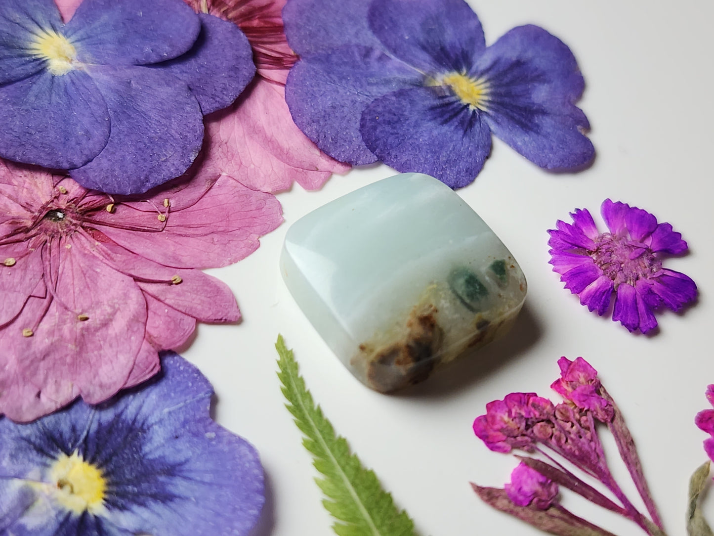BC Ocean picture stone