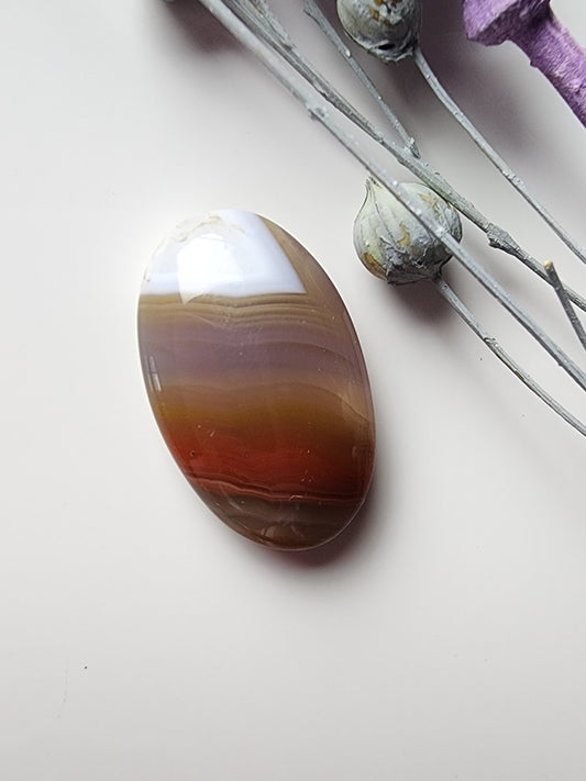 Agua Nueva agate