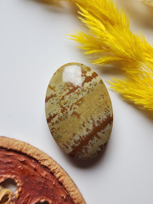 Owyhee jasper