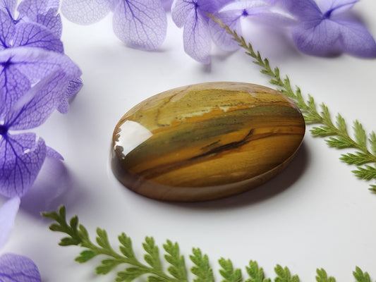 Owyhee jasper