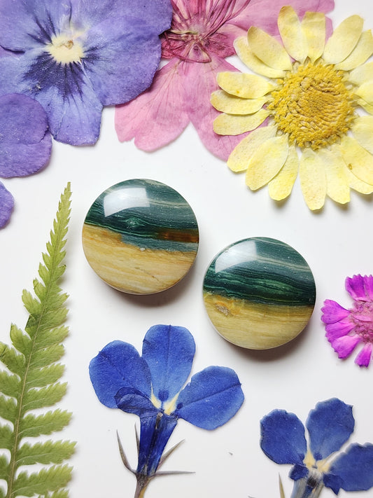 Gary green jasper/ Larsonite pair