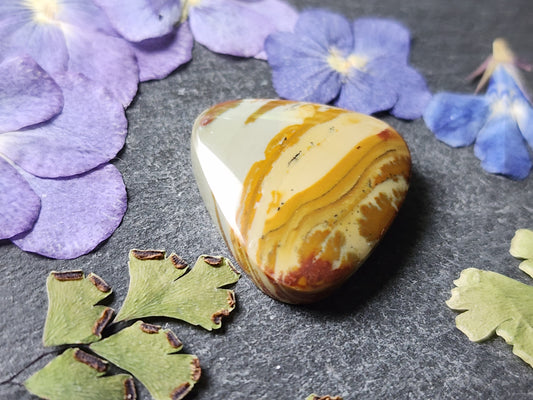 Owyhee picture jasper